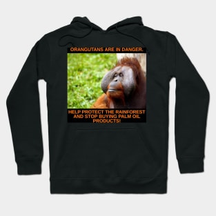 Orangutans are in Danger! Hoodie